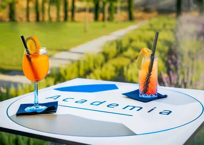 Akademis Academia 3*